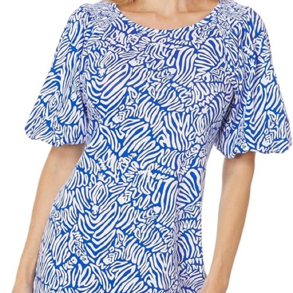 Lilly Pulitzer Blue and White Mini Dress